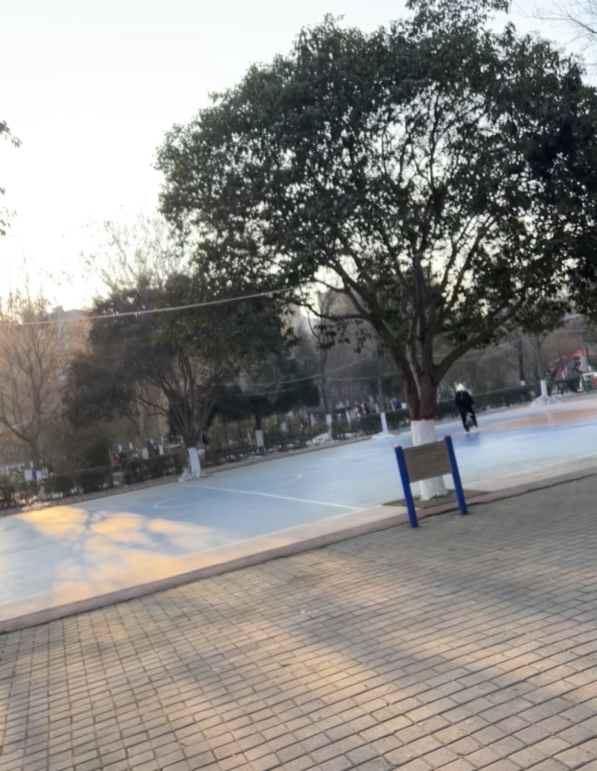 紫金公园旅行图片 3