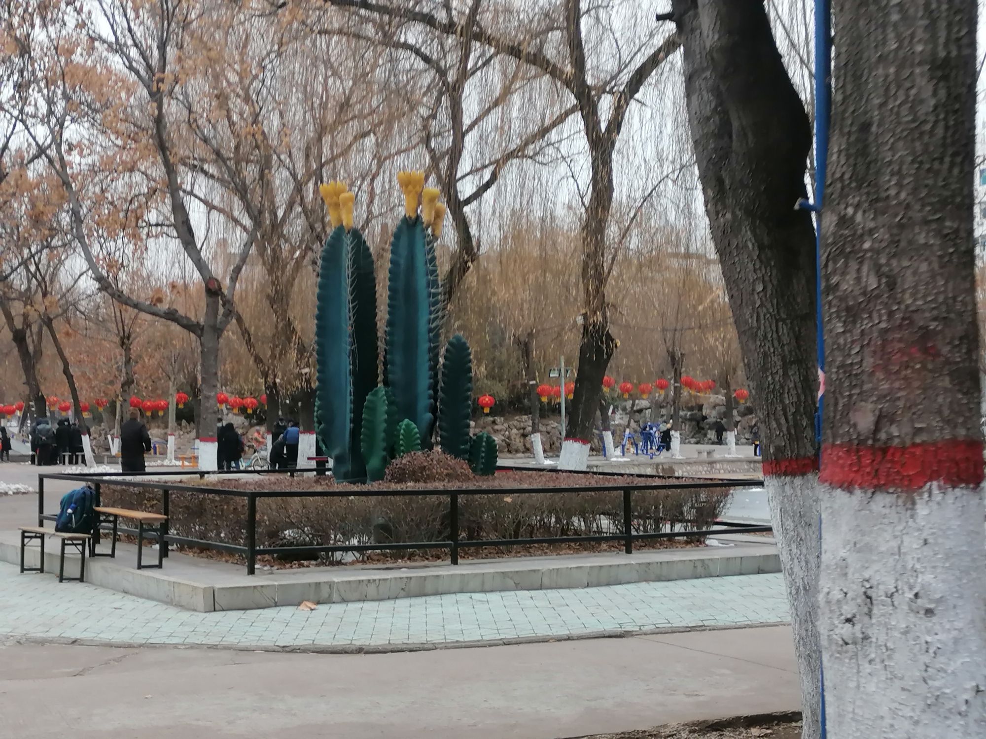 紫金公园旅行图片 1