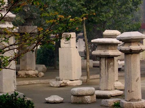 塔林公园旅行图片 2