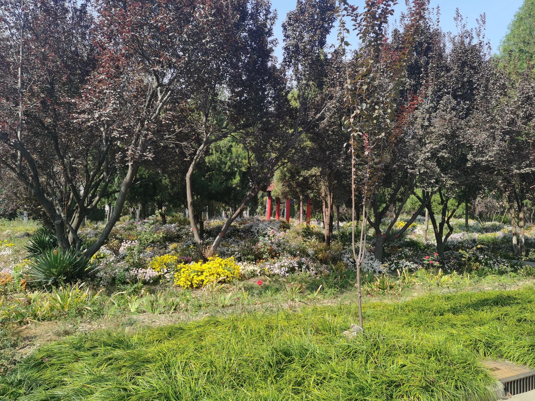 武松公园旅行图片 2
