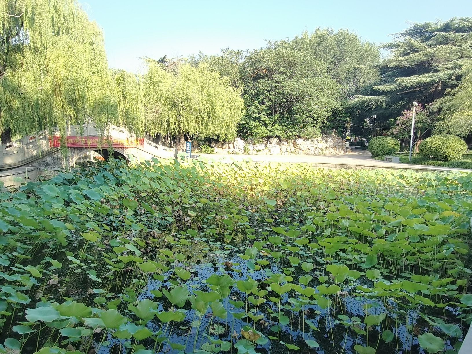 二十冶公园旅行图片 2