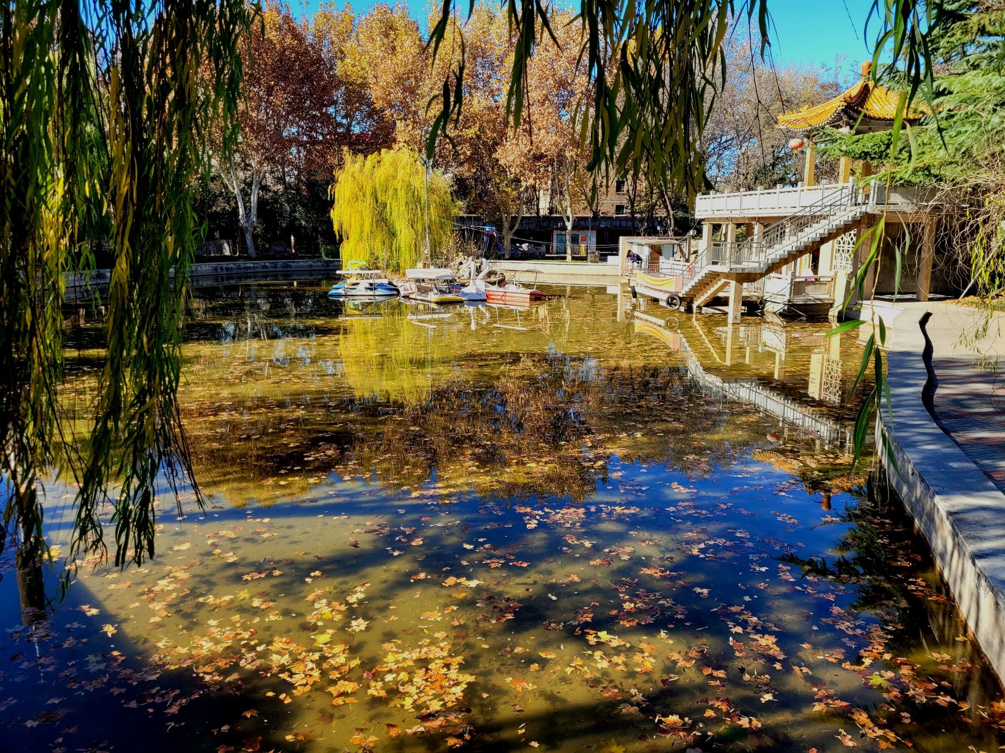二十冶公园旅行图片 1
