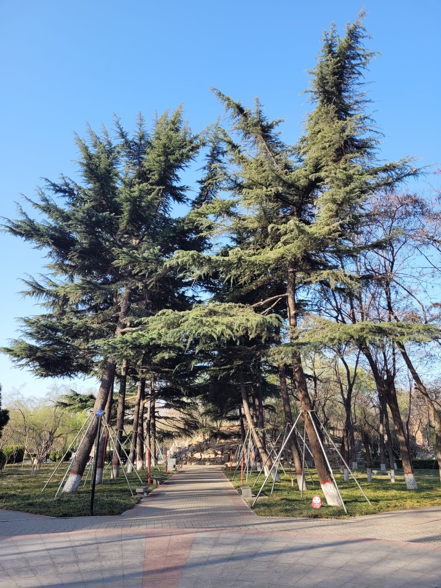 二十冶公园旅行图片 3