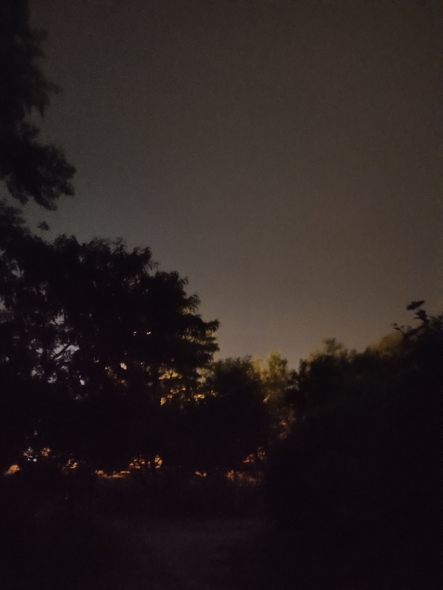 新世纪广场旅行图片 3