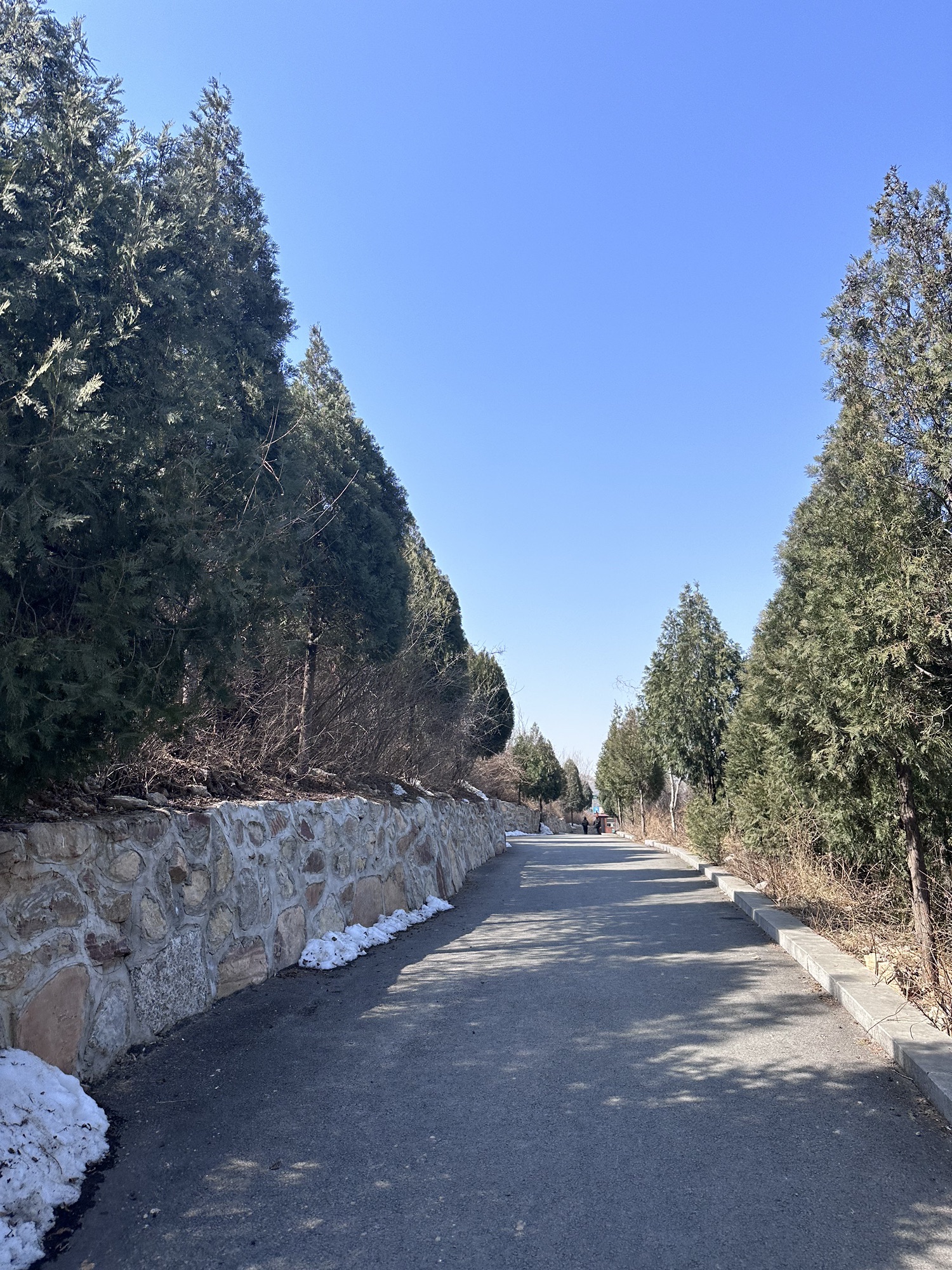 邢台天梯山旅行图片 1