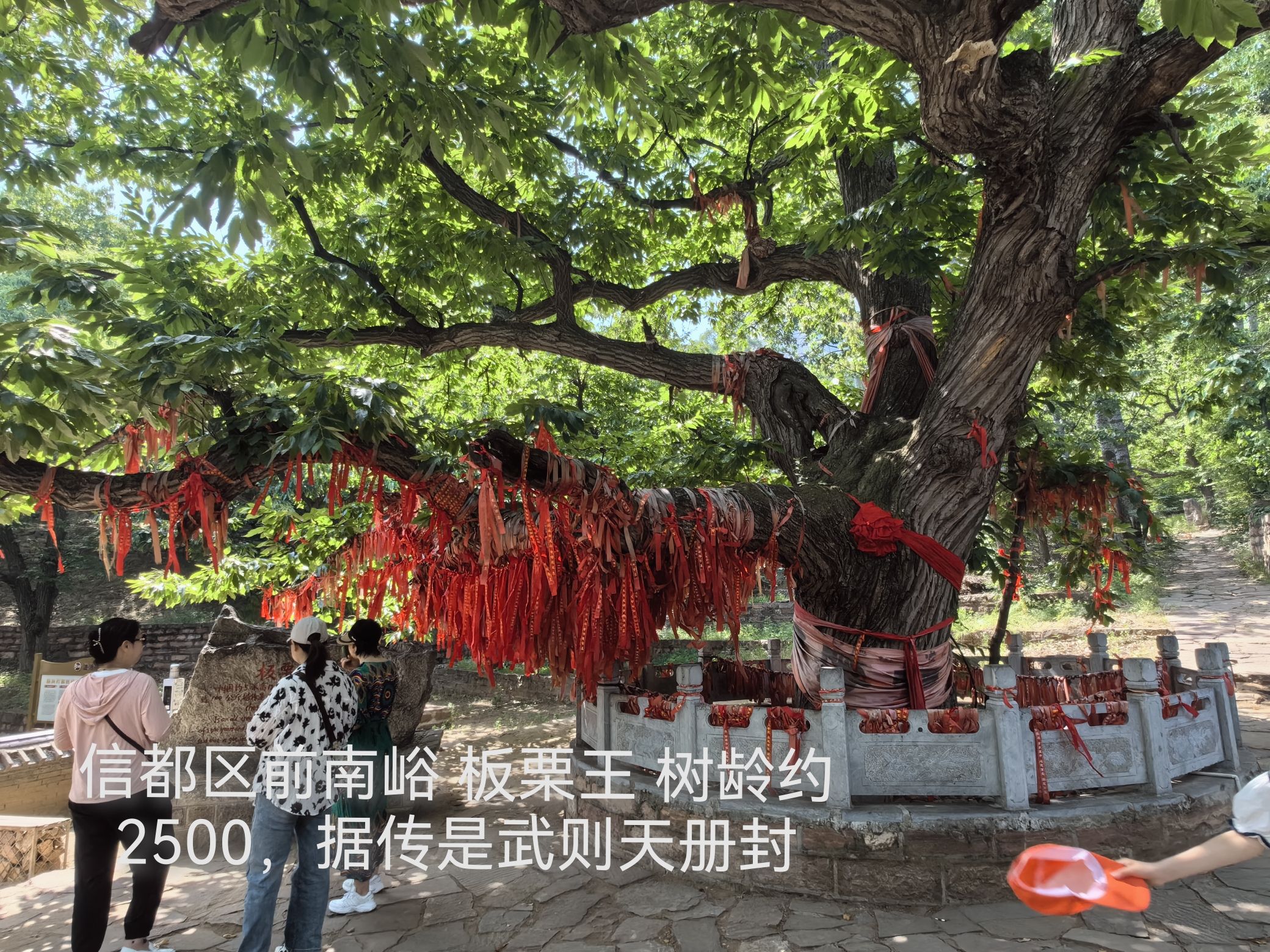 前南峪生态旅游区旅行图片 2
