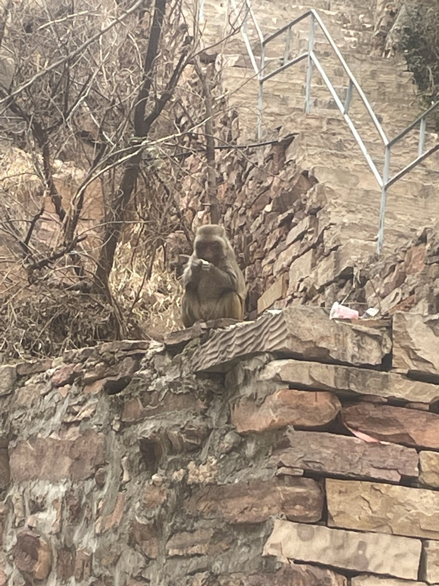 邢台天河山旅行图片 1