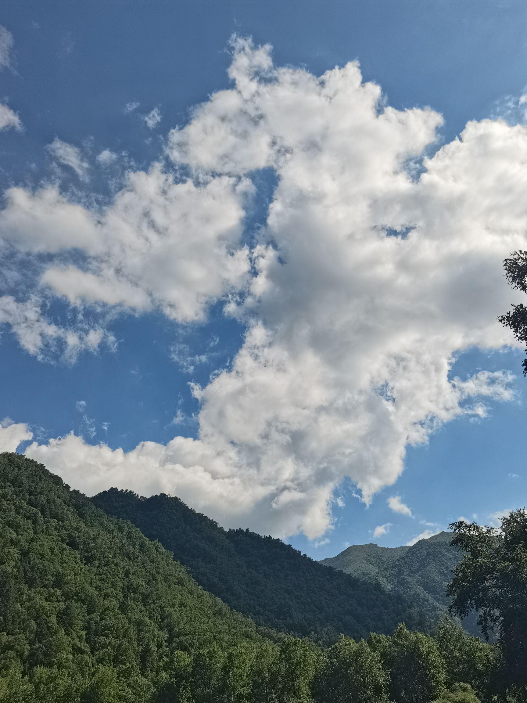 平安广场旅行图片 2