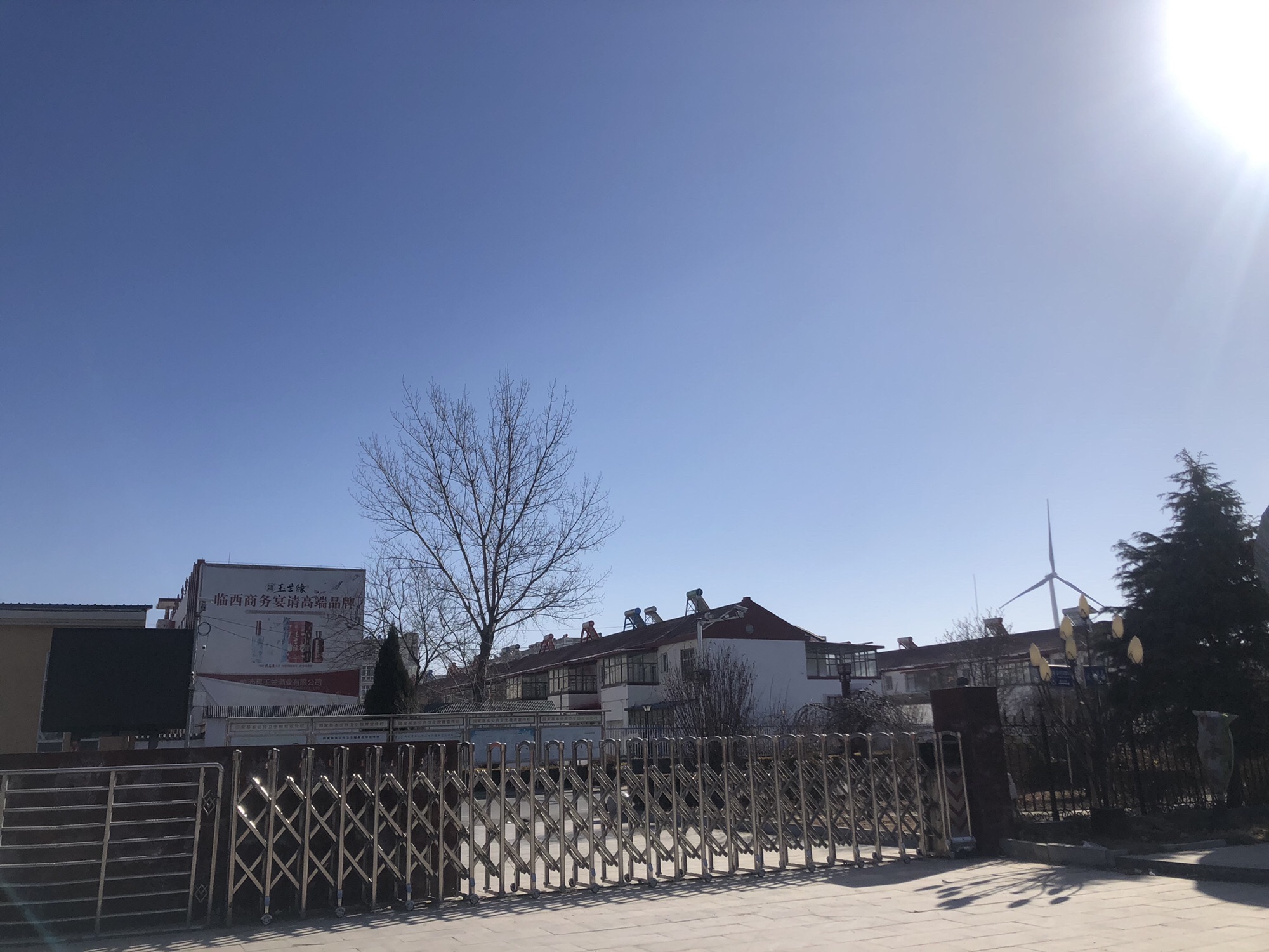 玉兰公园旅行图片 2