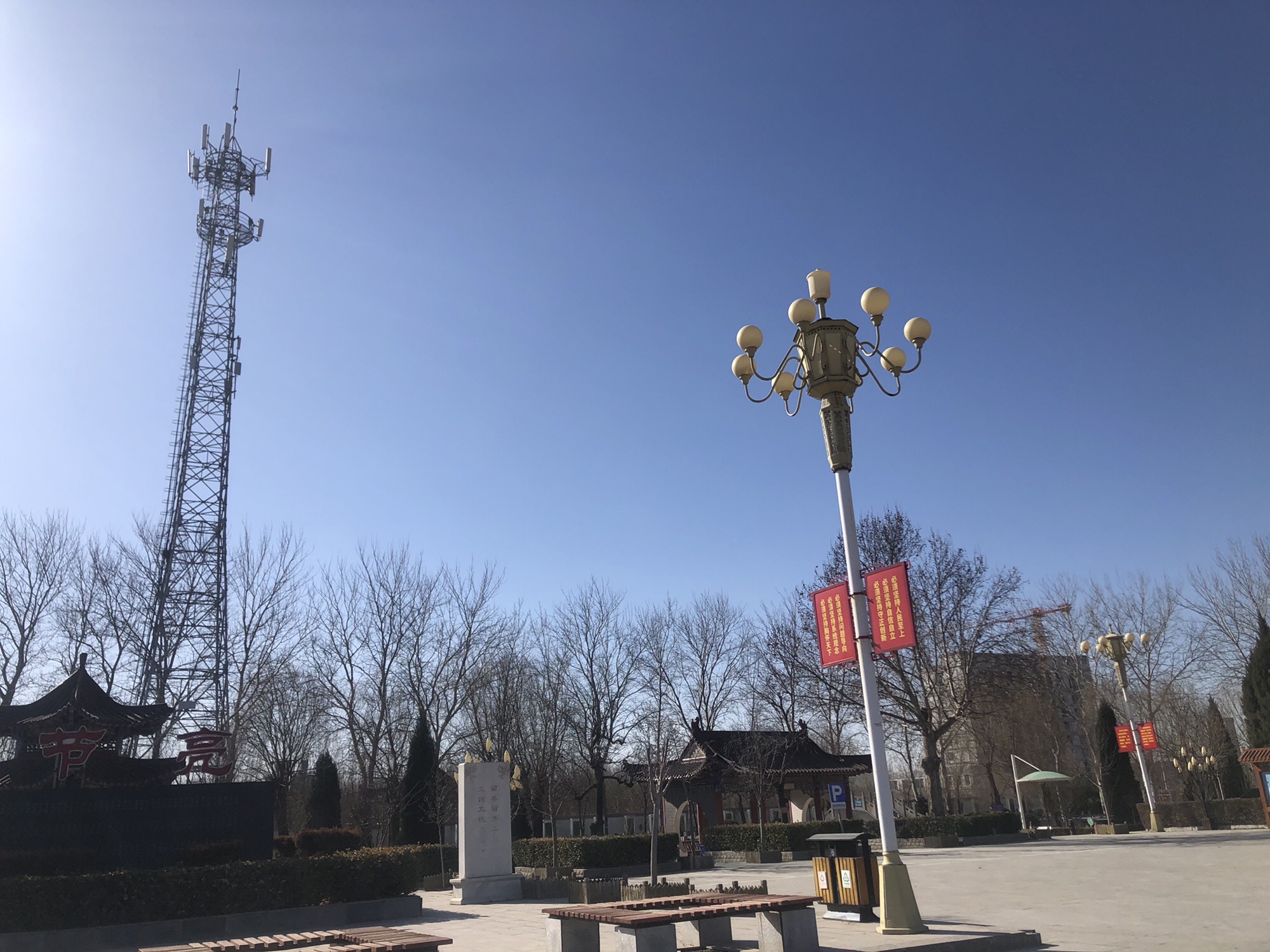 玉兰公园旅行图片 2