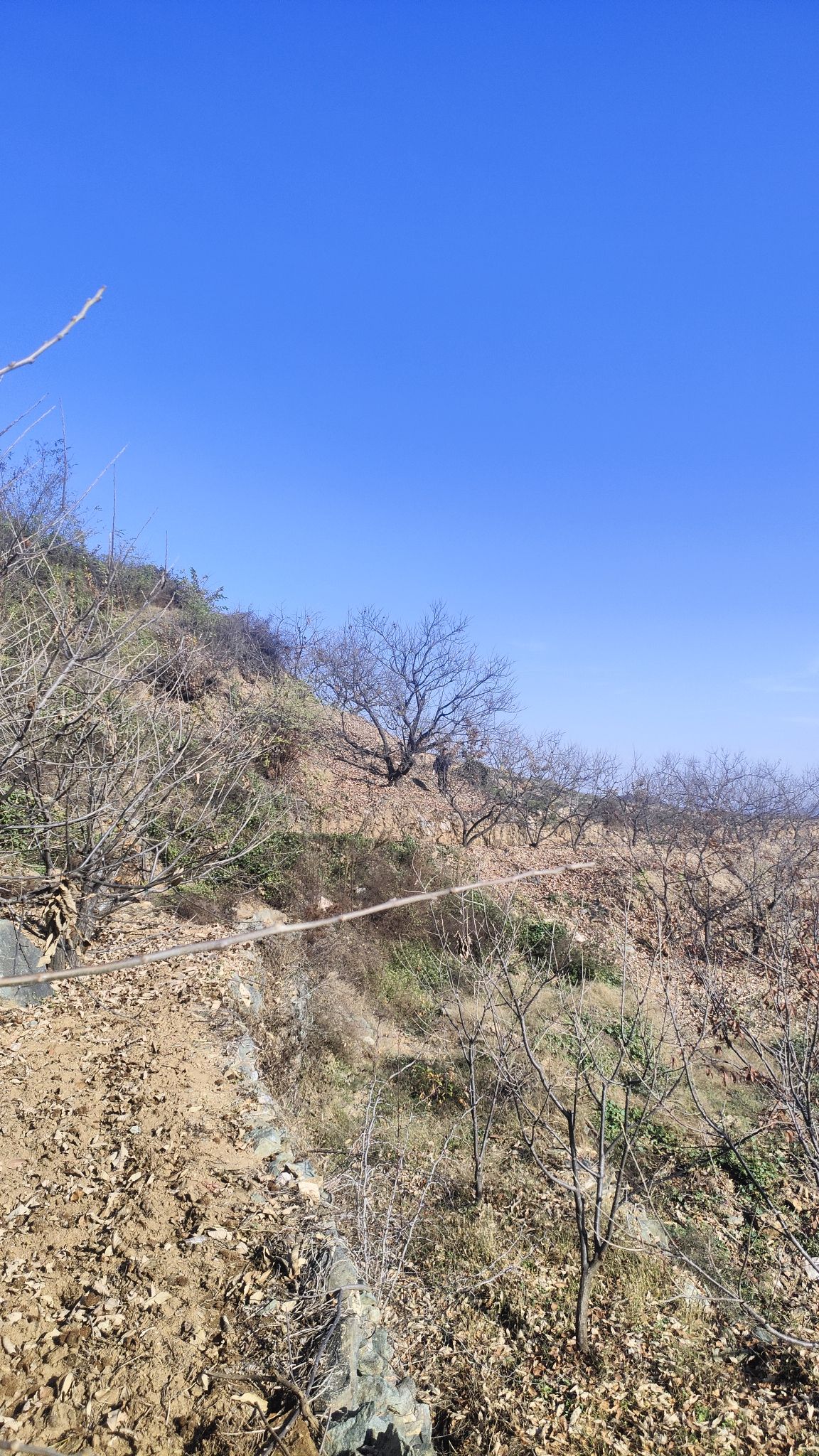 白云山旅行图片 3