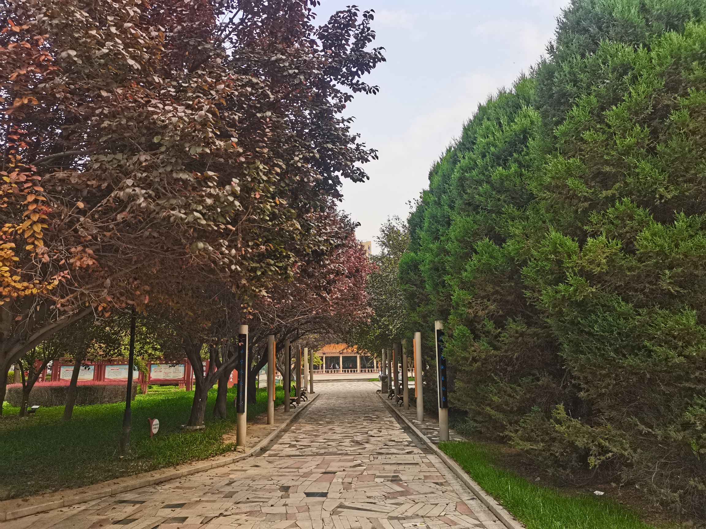 唐尧公园旅行图片 2