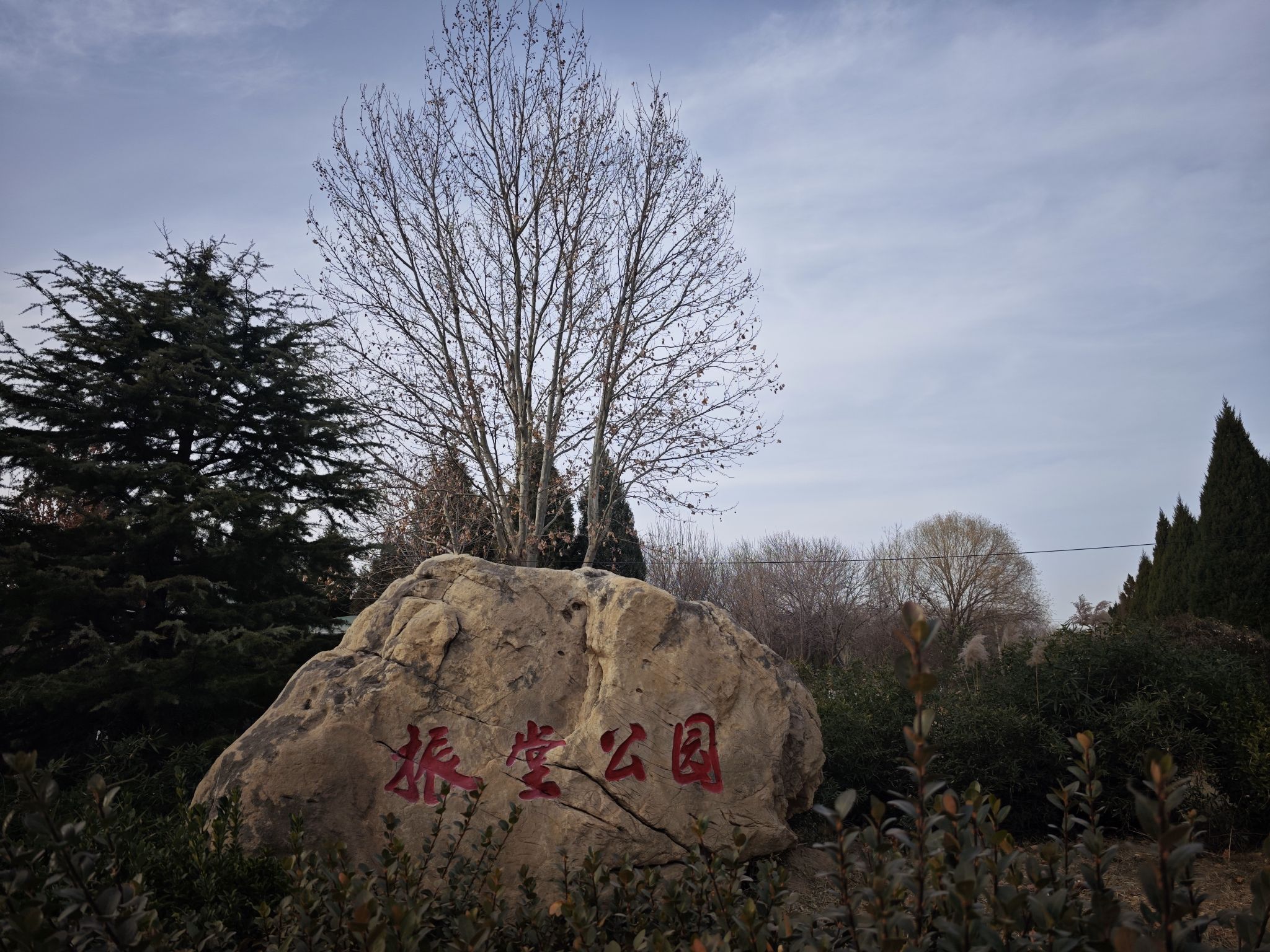 振堂公园