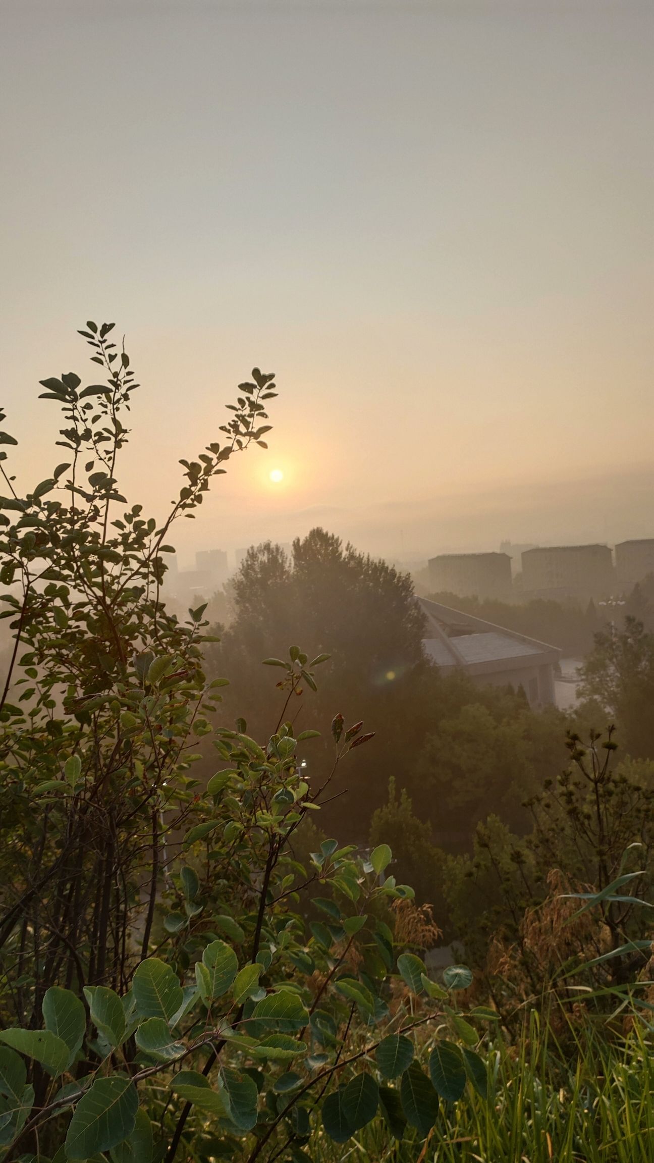 振堂公园旅行图片 2