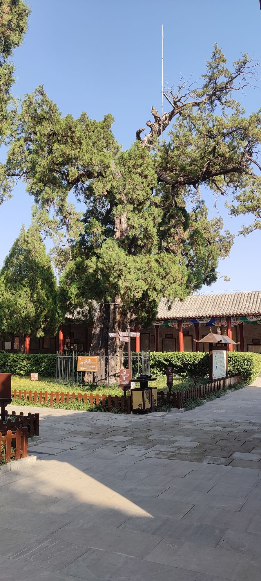 扁鹊庙旅行图片 3