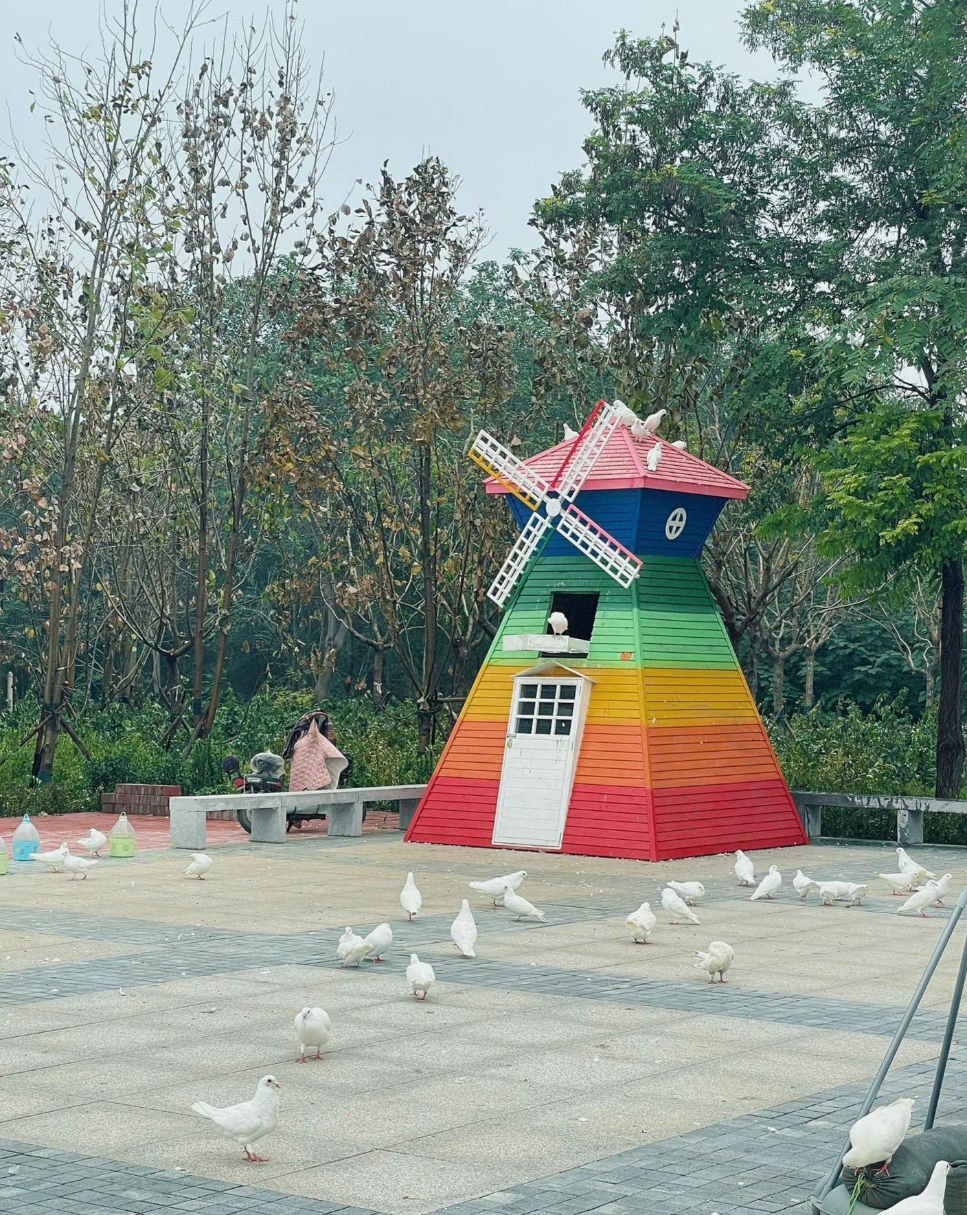 邢襄生态园旅行图片 2