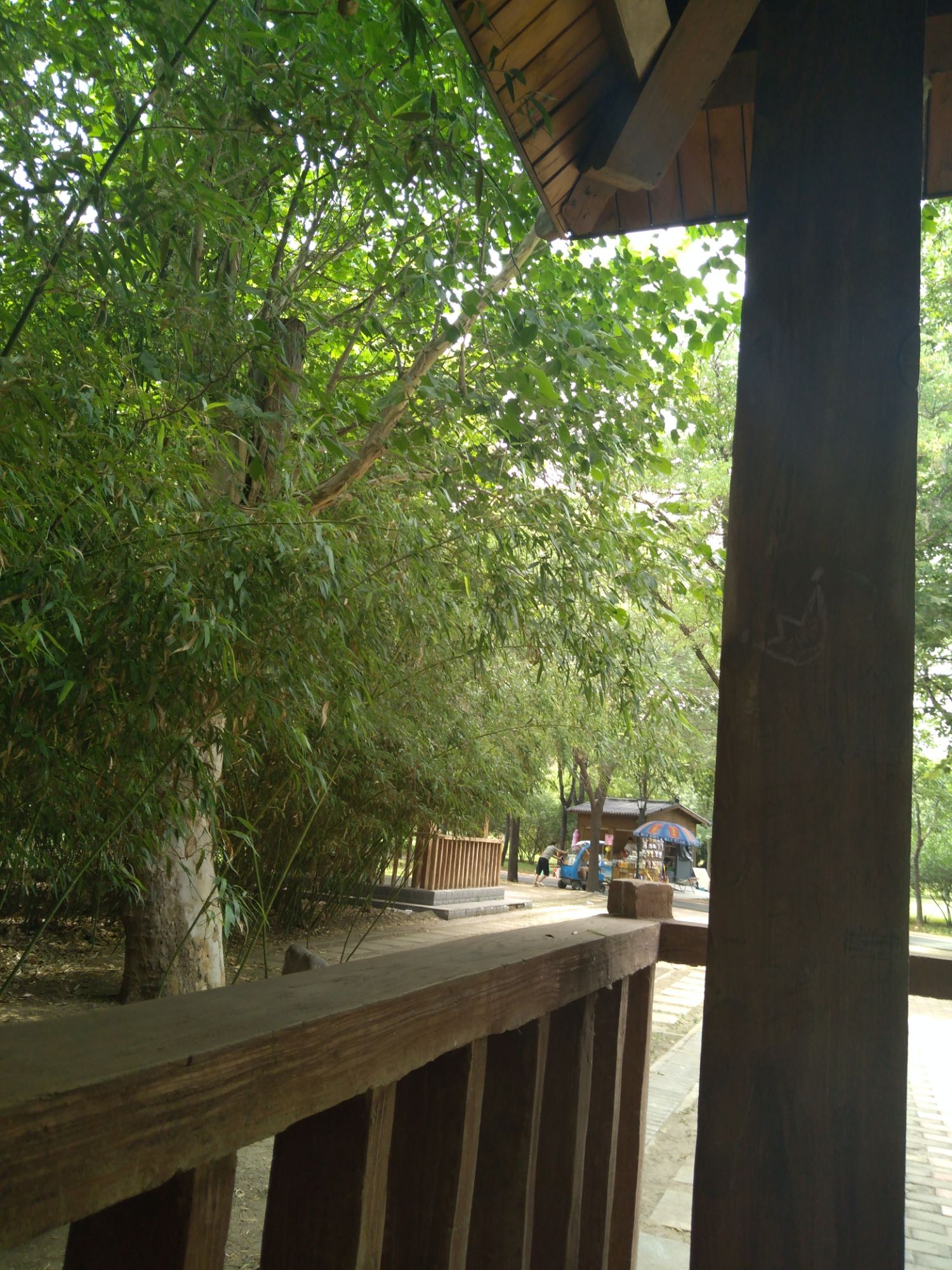 邢襄生态园旅行图片 2