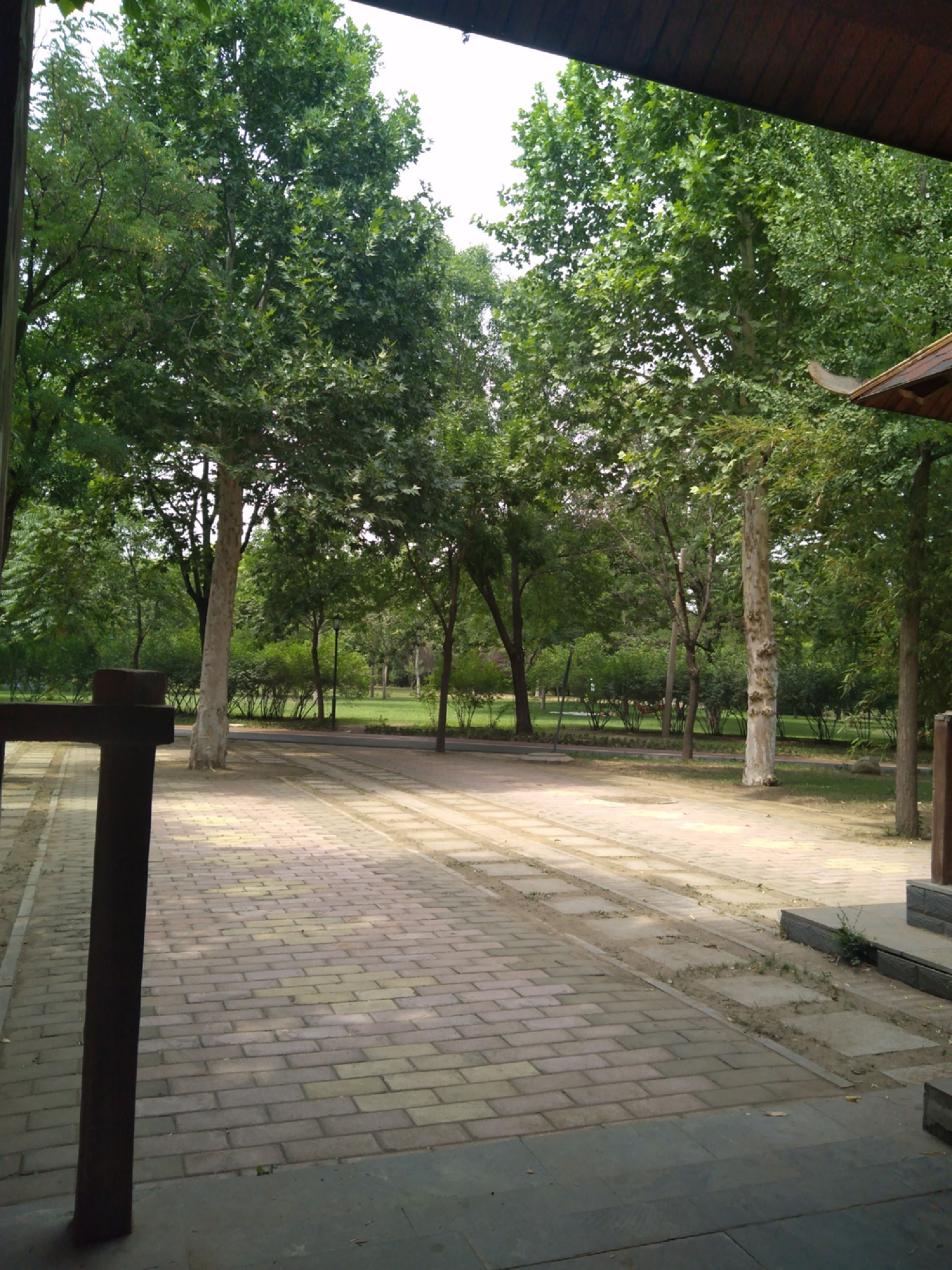 邢襄生态园旅行图片 1