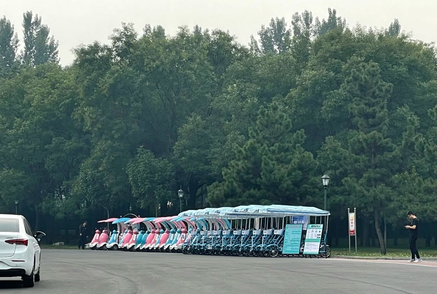 邢襄生态园旅行图片 3
