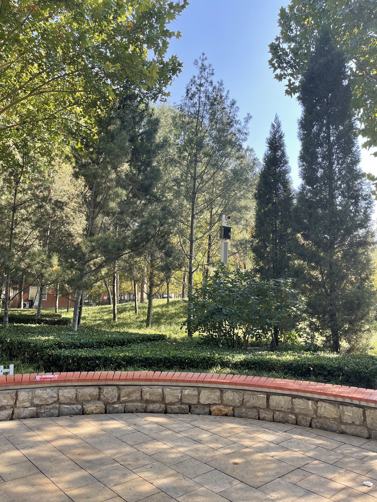 金牛中兴公园旅行图片 3