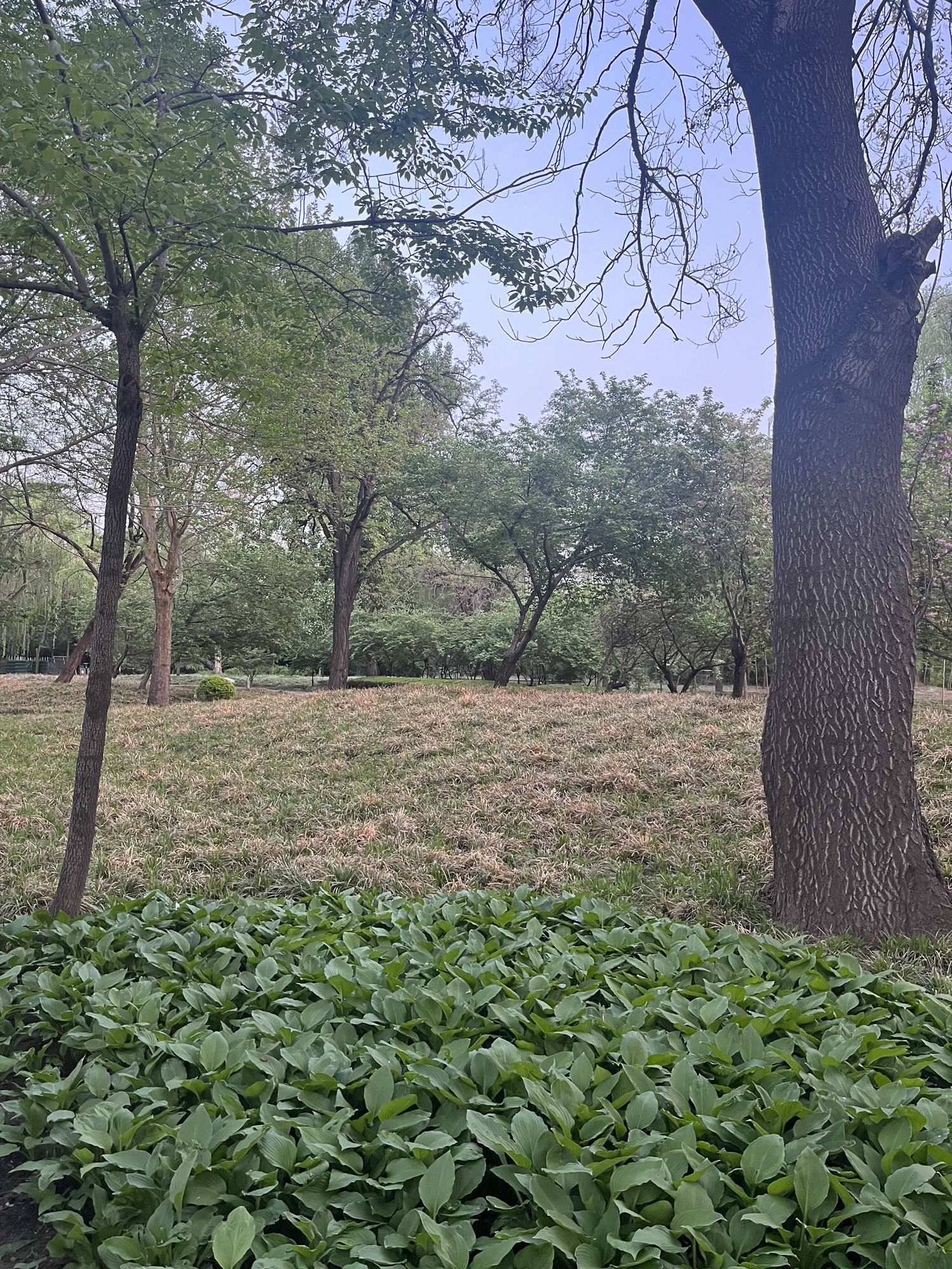 达活泉公园旅行图片 3