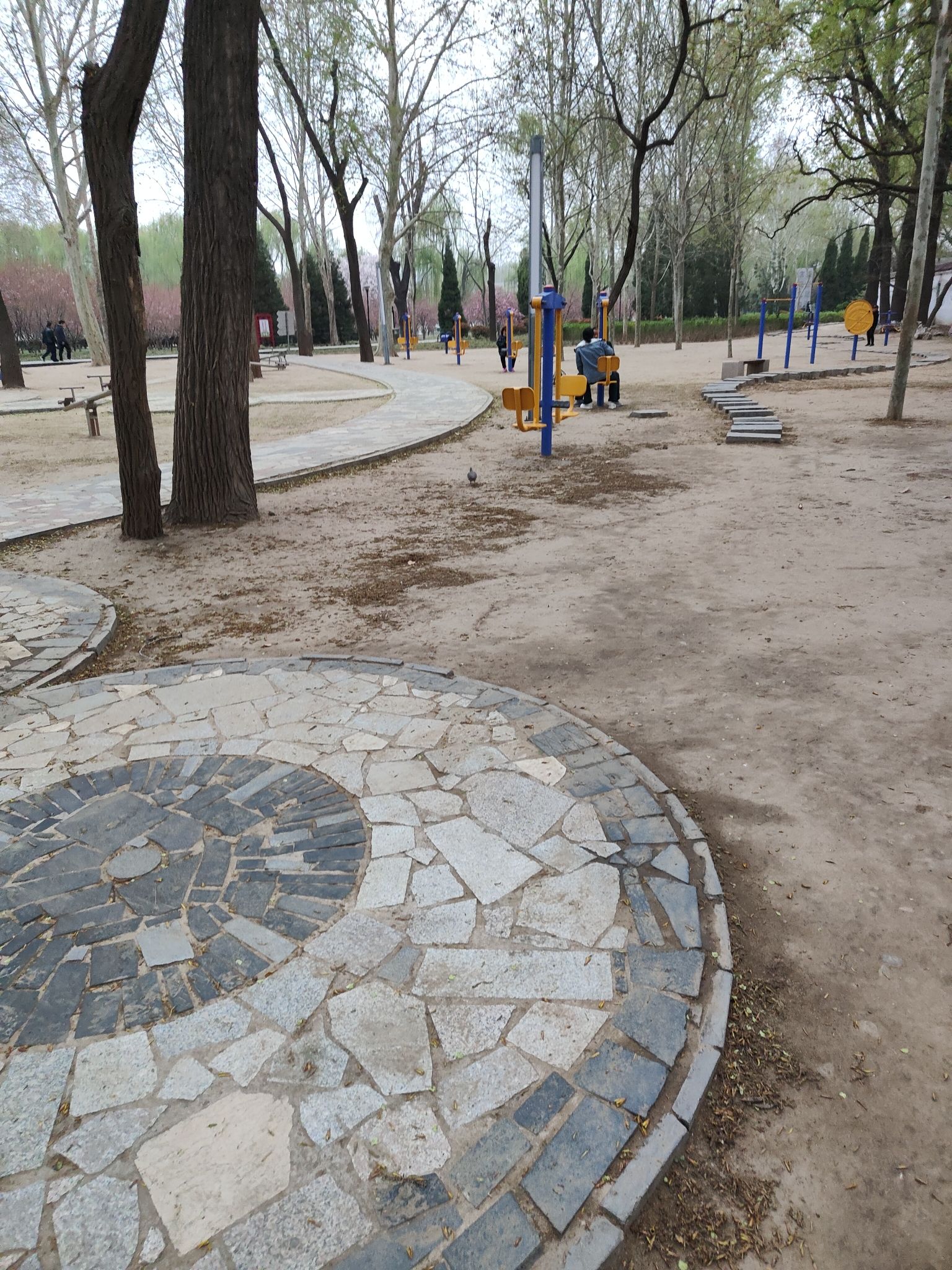 达活泉公园旅行图片 3