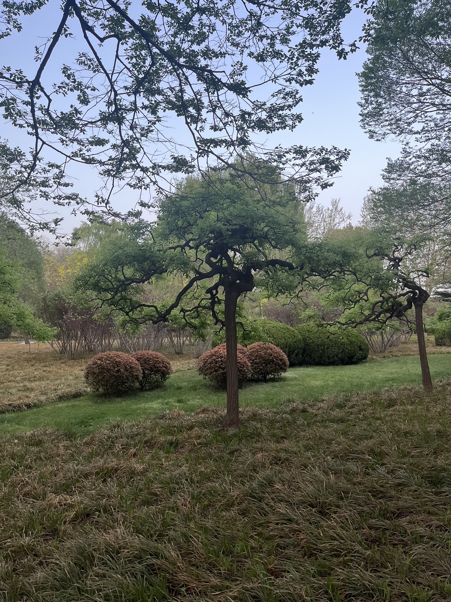 达活泉公园旅行图片 2
