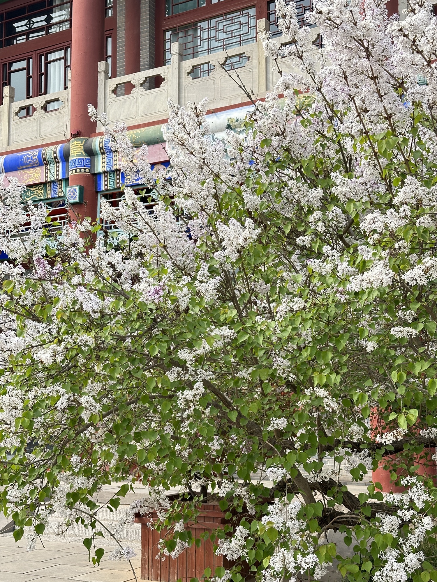 达活泉公园旅行图片 3