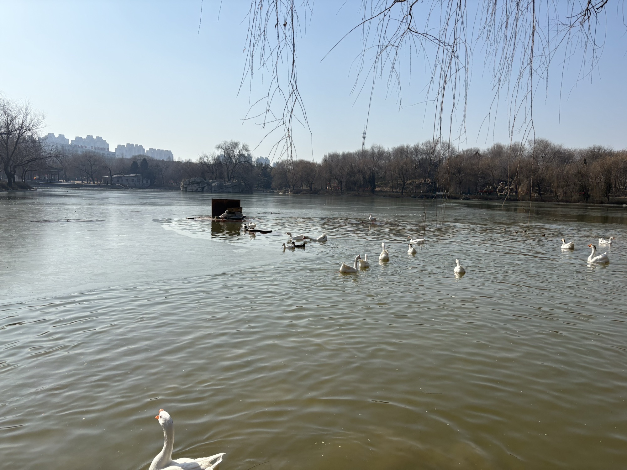 达活泉公园旅行图片 3