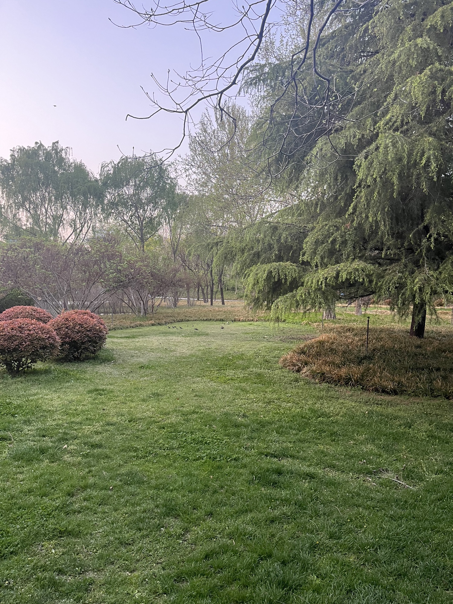 达活泉公园旅行图片 1