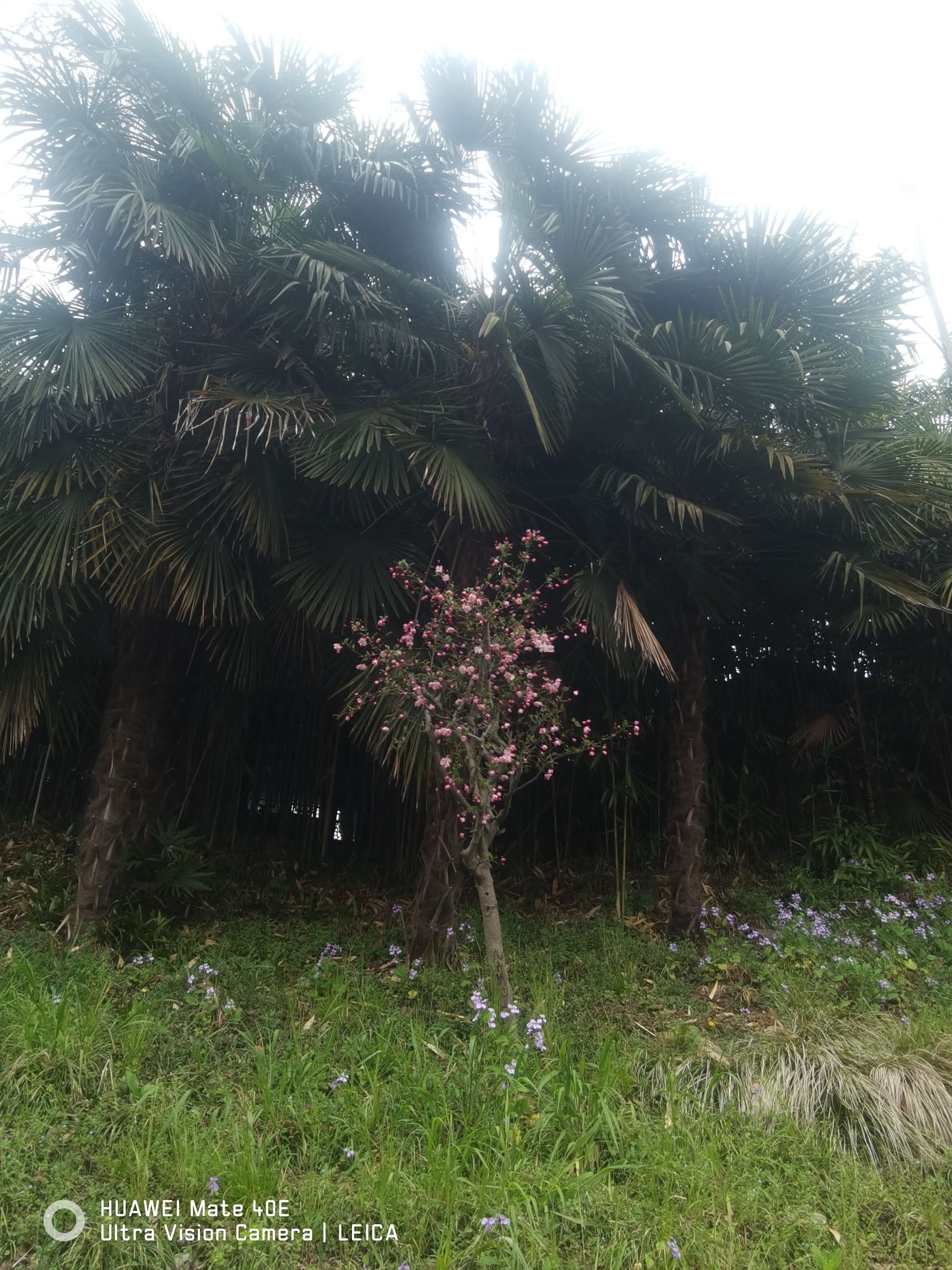 九龙峡旅游区旅行图片 2
