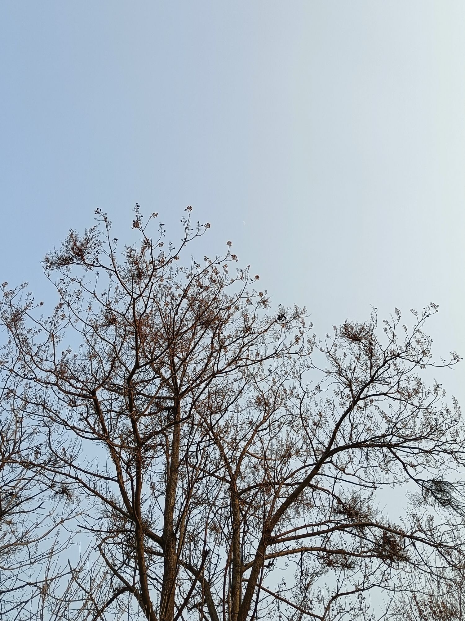 南宫湖公园旅行图片 2