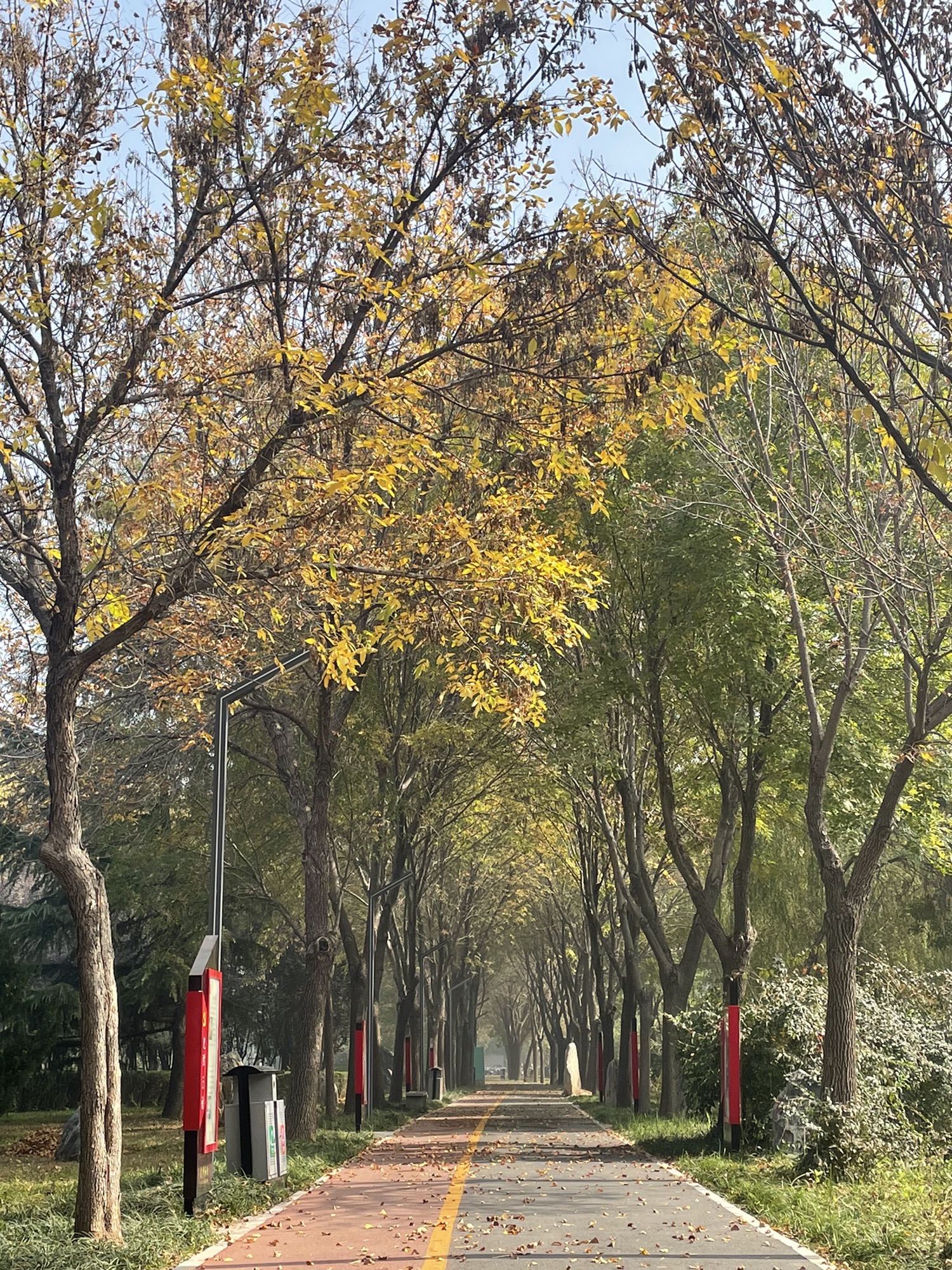 和阳广场旅行图片 3