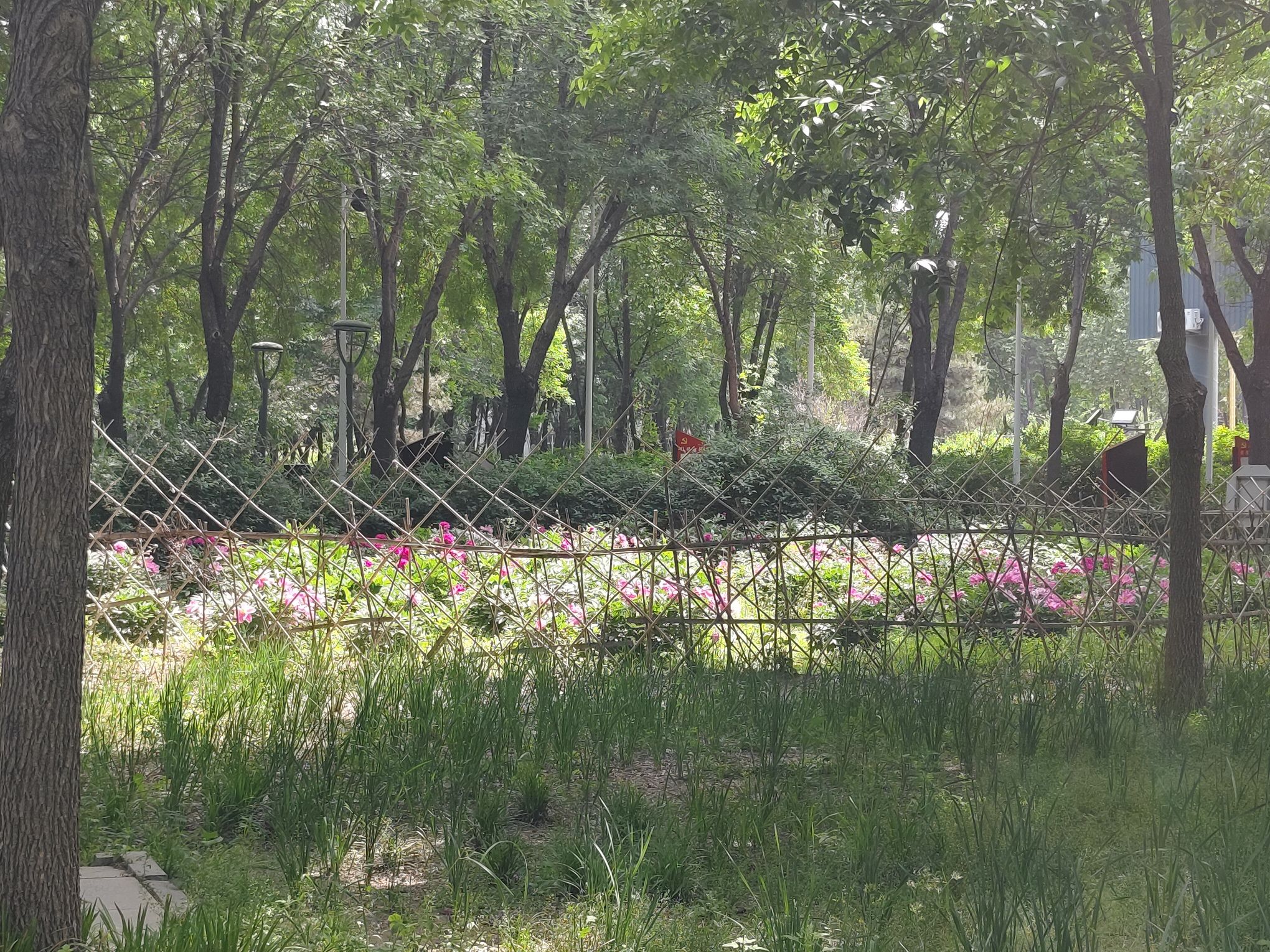 和阳广场旅行图片 3