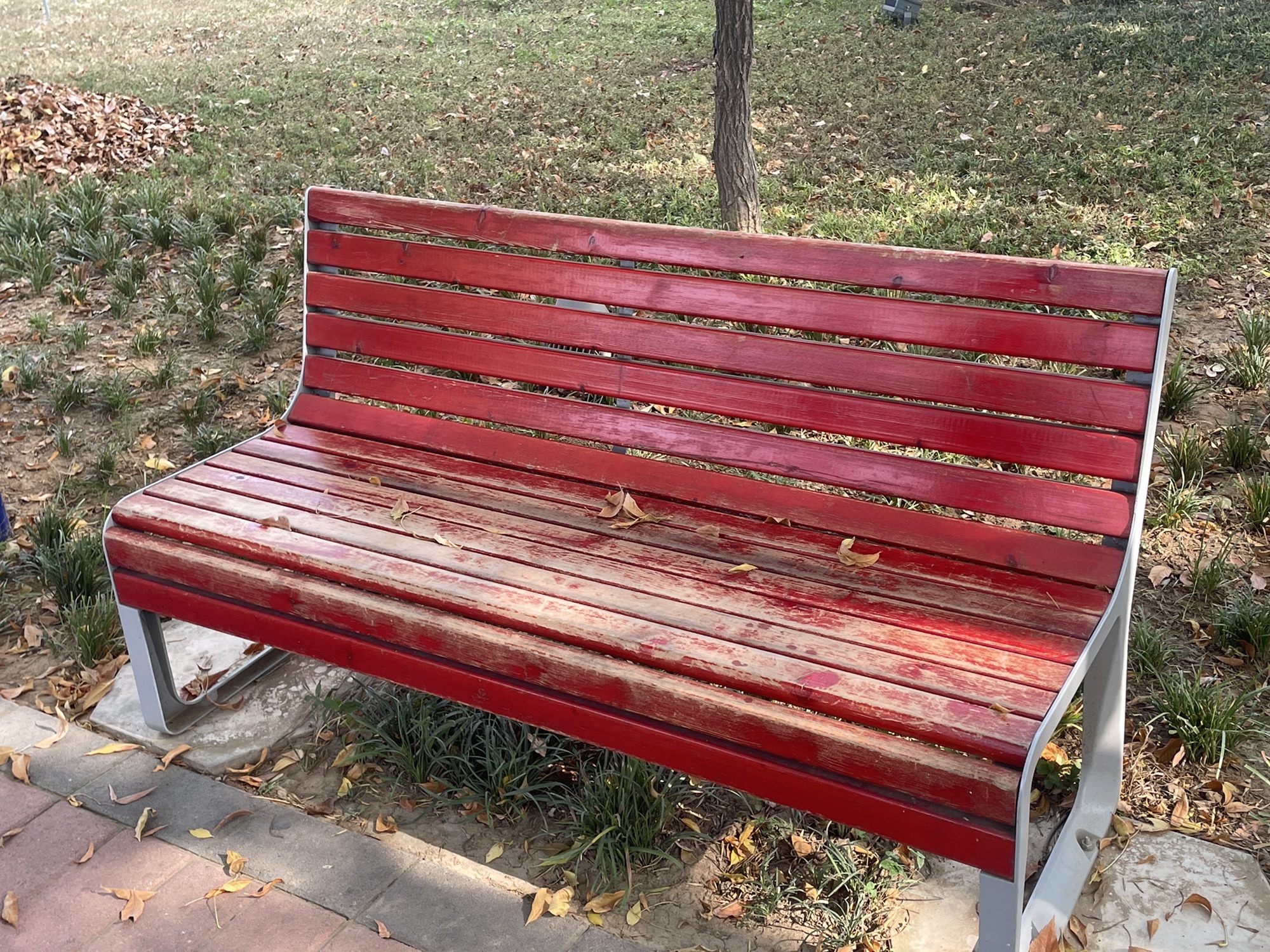 和阳广场旅行图片 2
