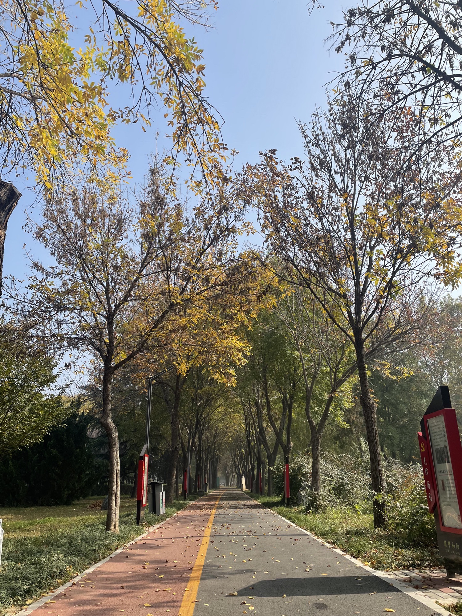和阳广场旅行图片 1