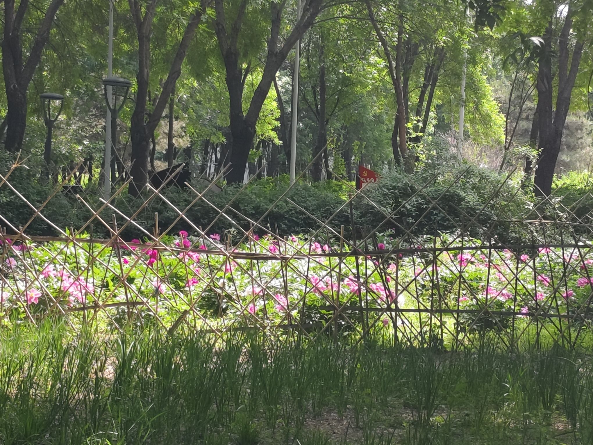和阳广场旅行图片 2