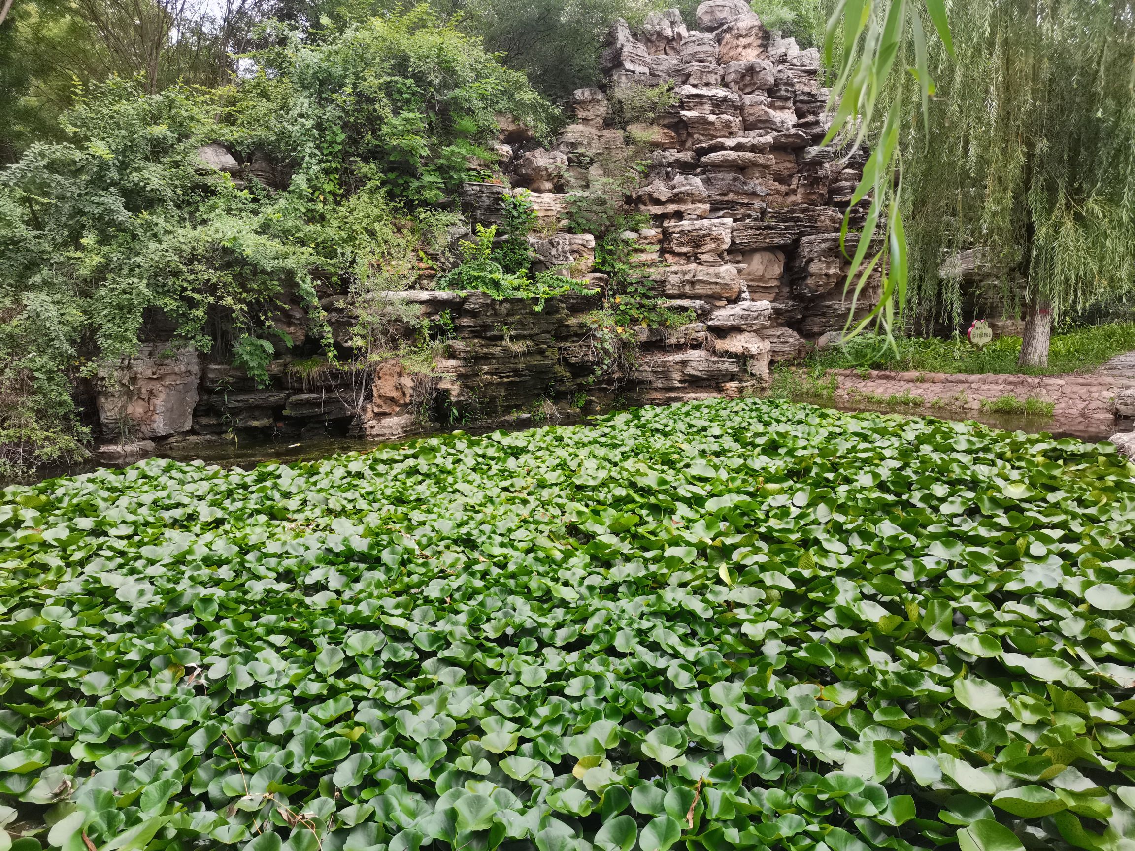兴业园旅行图片 3