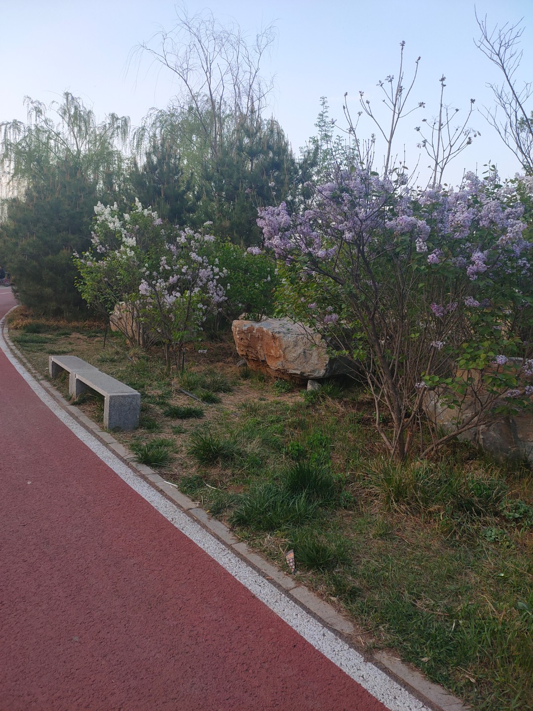 汉牡丹广场旅行图片 2