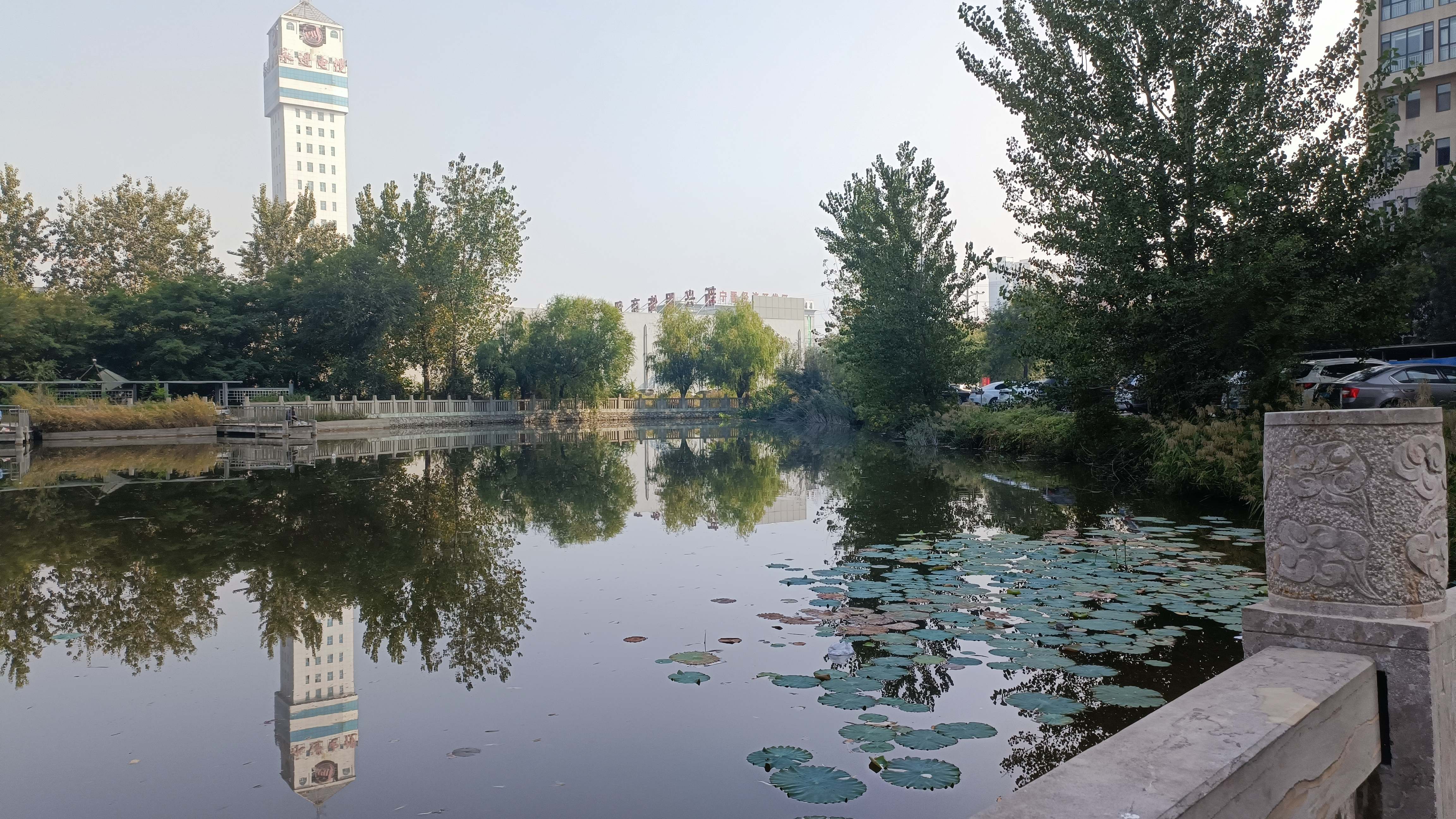 宁晋凤城西湖公园旅行图片 3