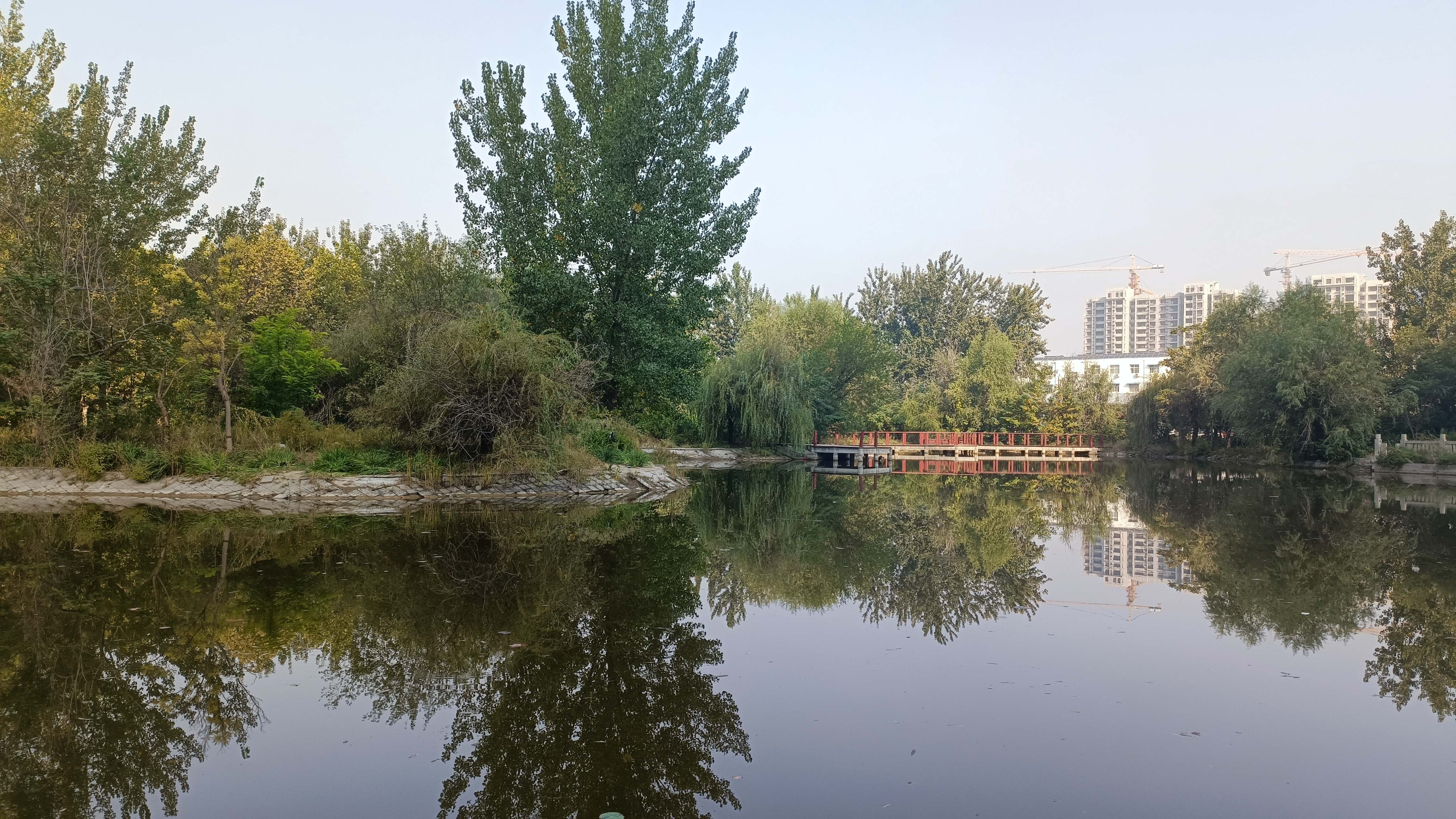 宁晋凤城西湖公园旅行图片 2
