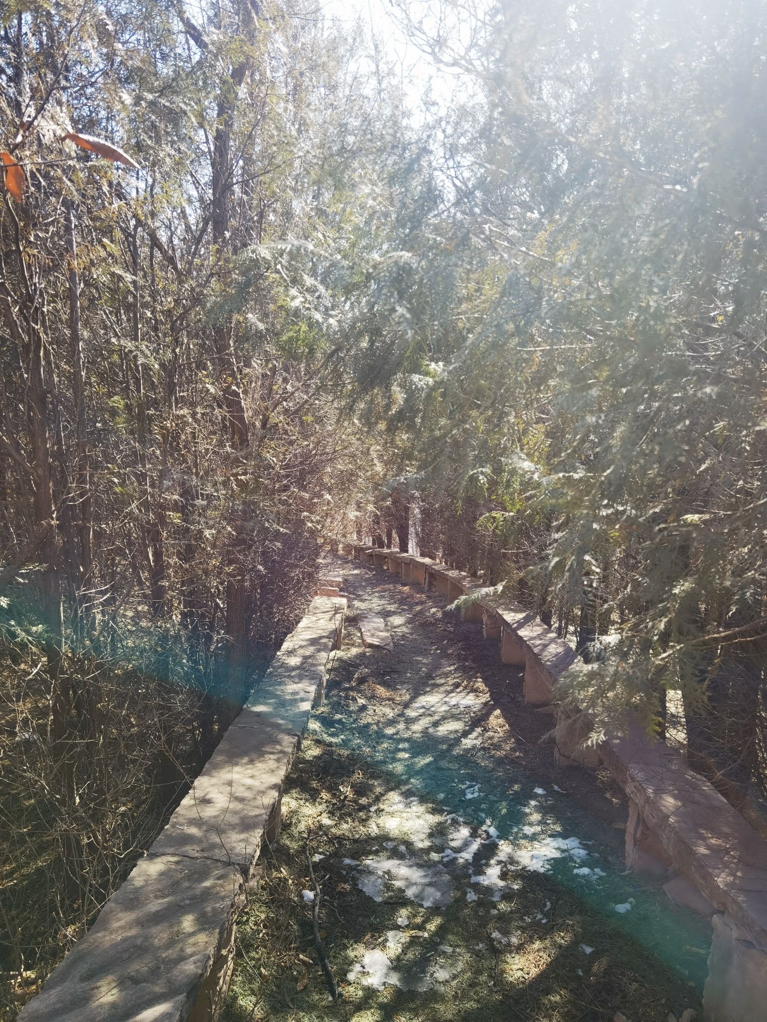 不老青山风景区旅行图片 3