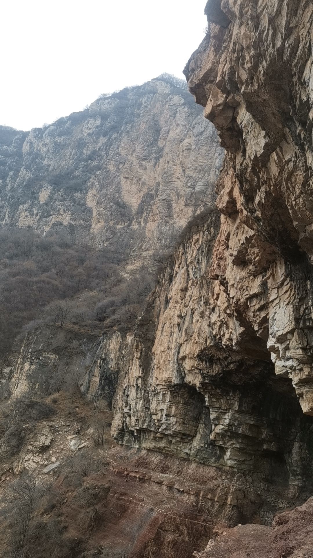 不老青山风景区旅行图片 3
