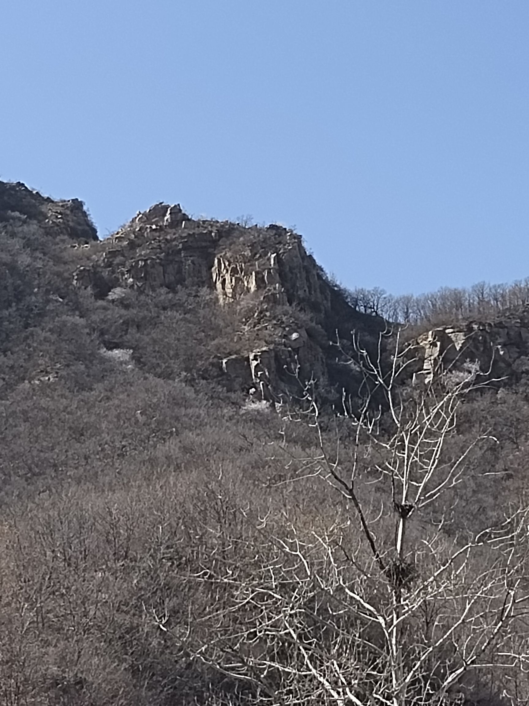 鼎梅山景区旅行图片 1