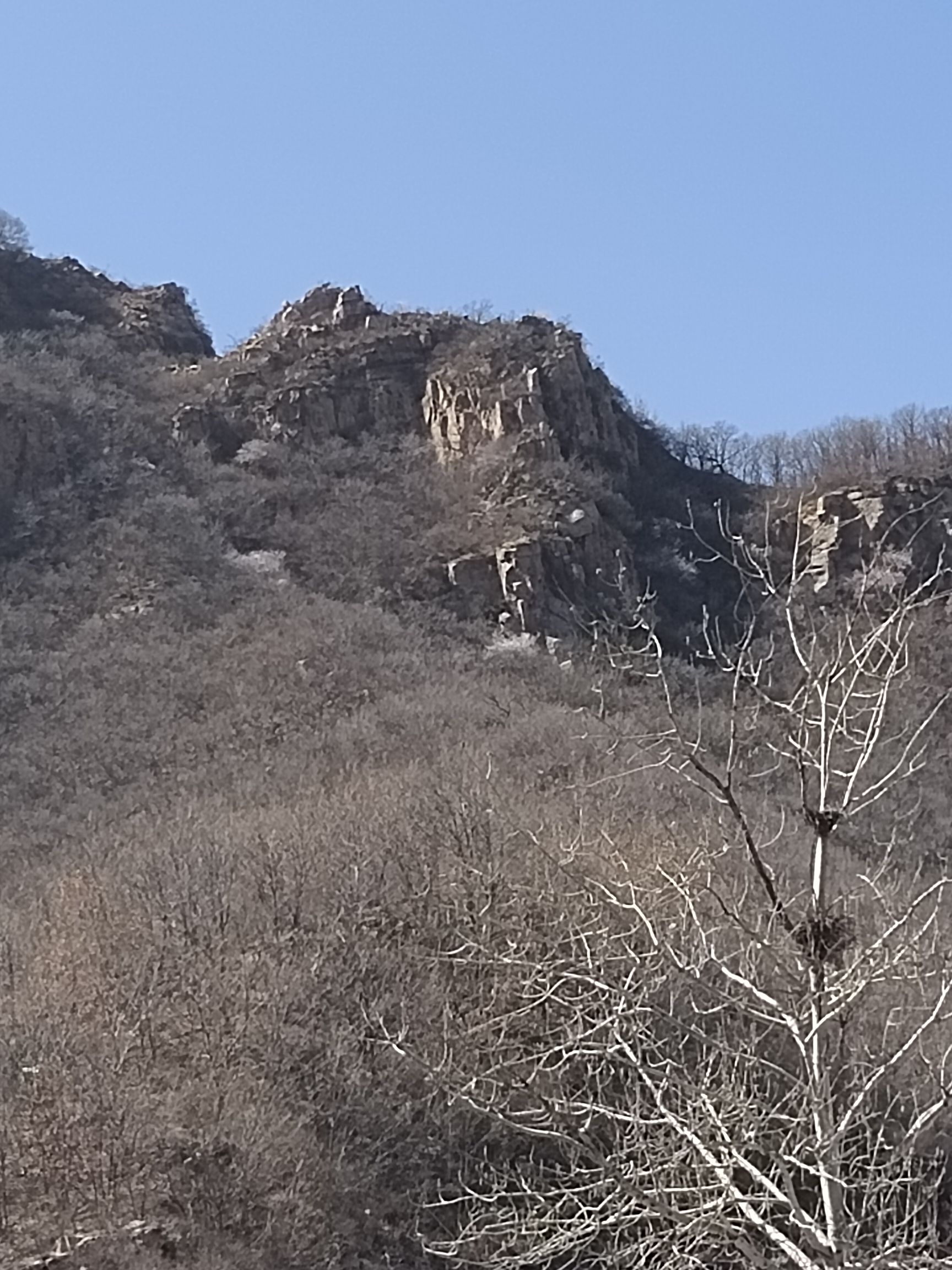 鼎梅山景区旅行图片 2