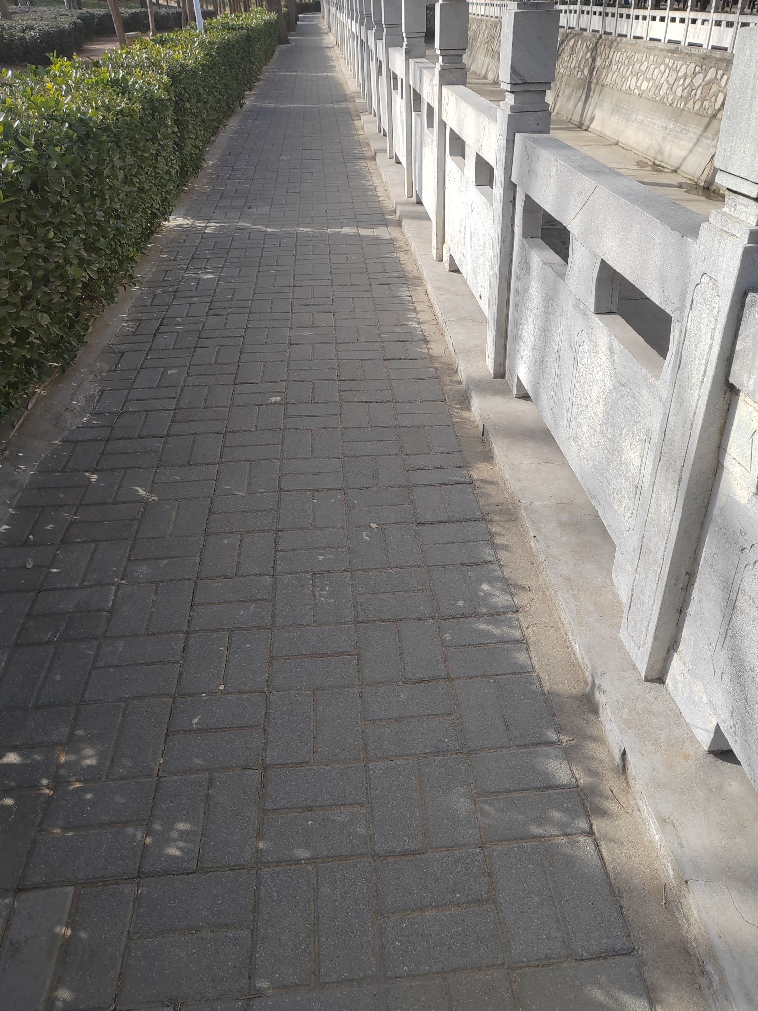 德龙园旅行图片 1