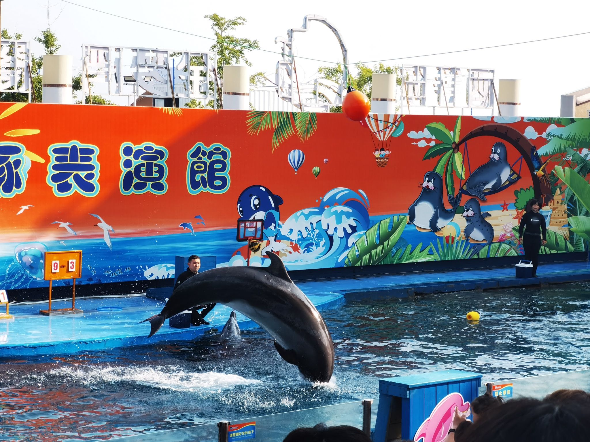 秦皇岛新澳海底世界-海豚表演馆