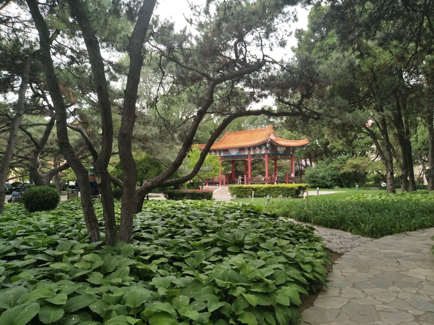 鲁迅公园旅行图片 2
