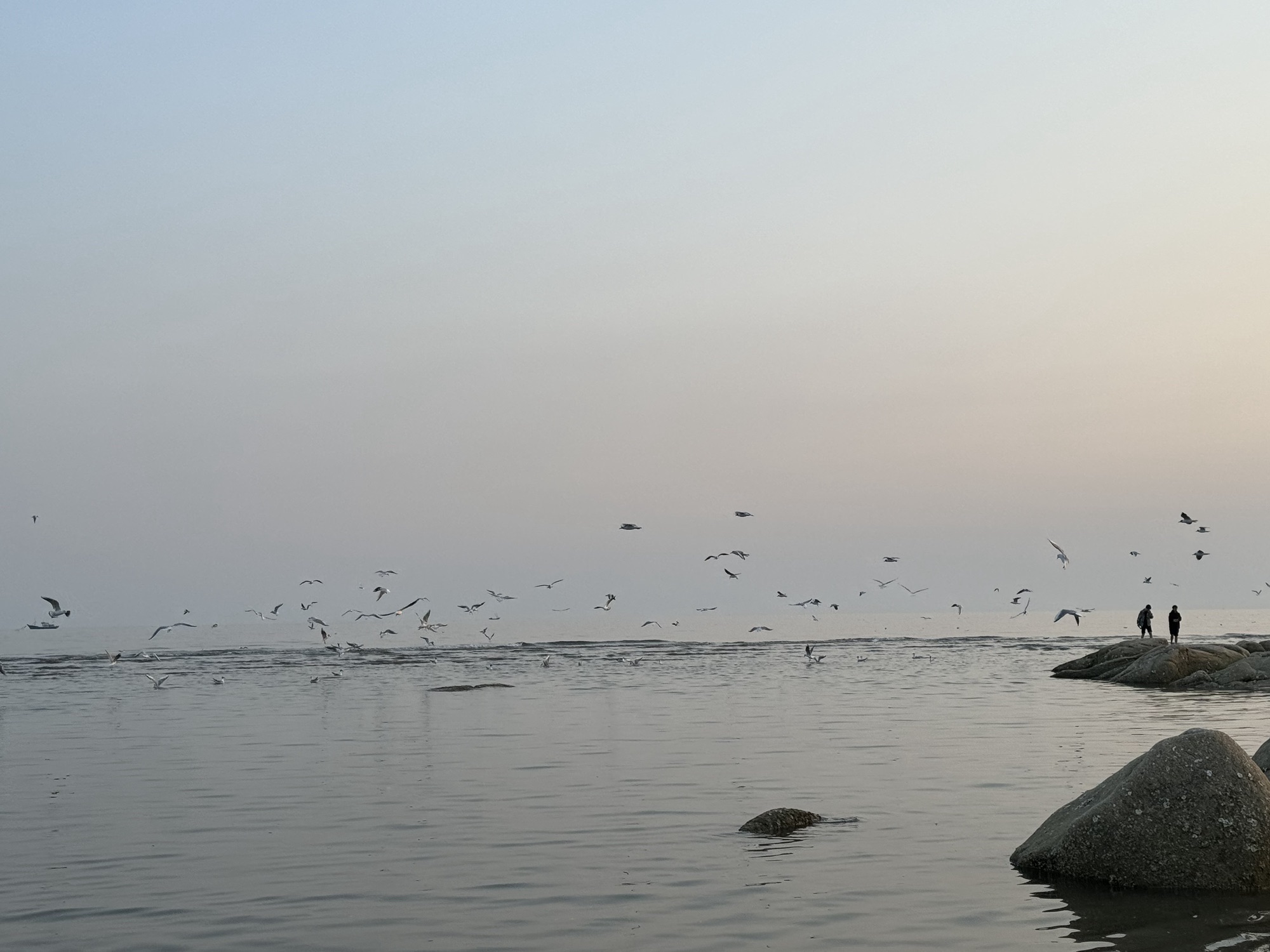 老虎石海上公园旅行图片 3