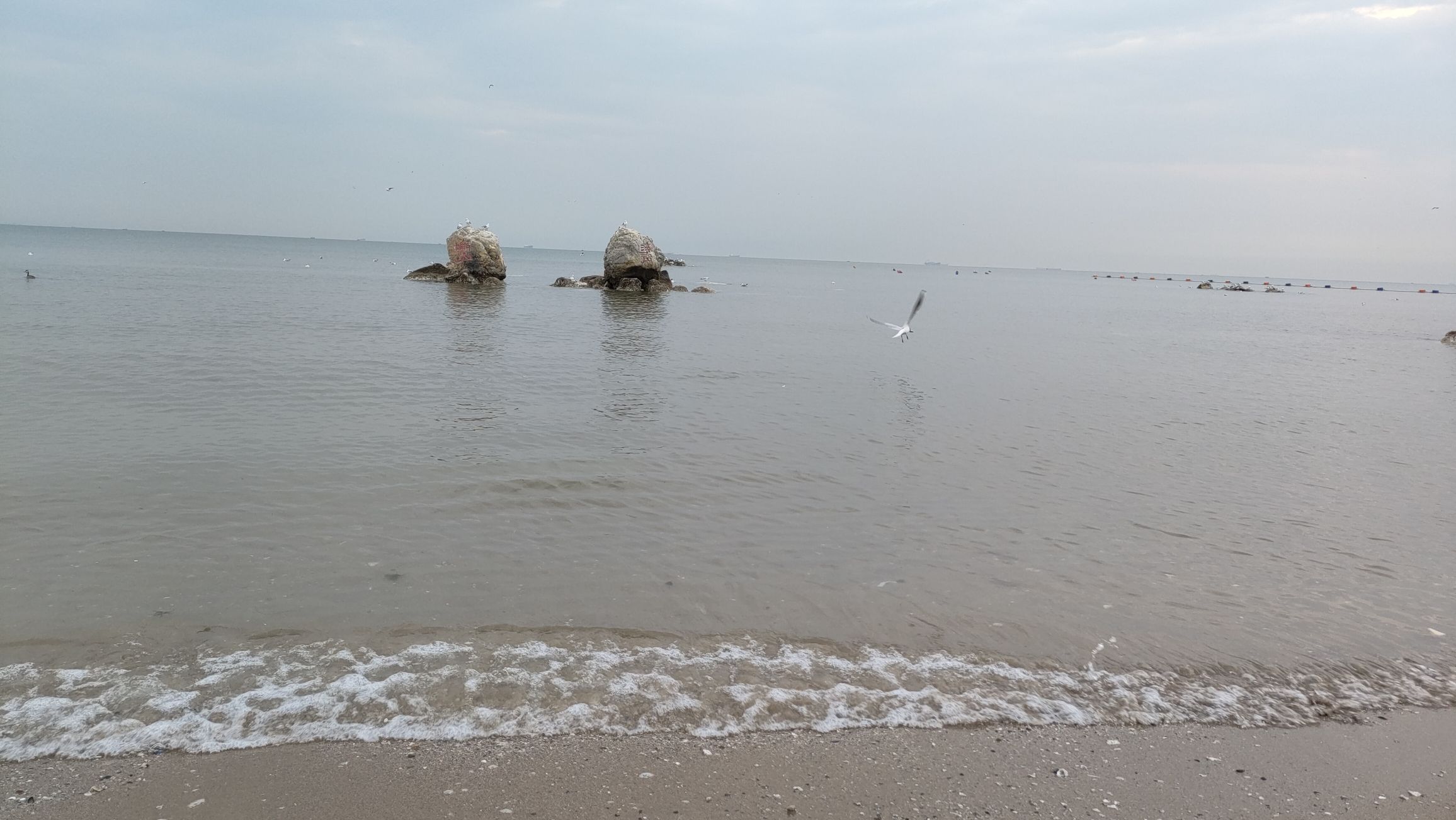 鸽子窝公园旅行图片 1